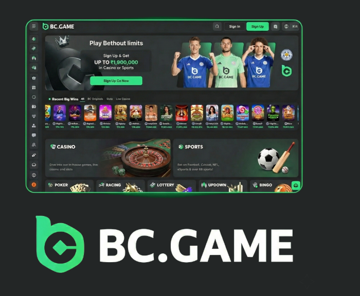 BC.Game Login Process A Comprehensive Guide -490497869